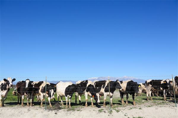 股票交易K线图的几个经典形态（技术分析必看）